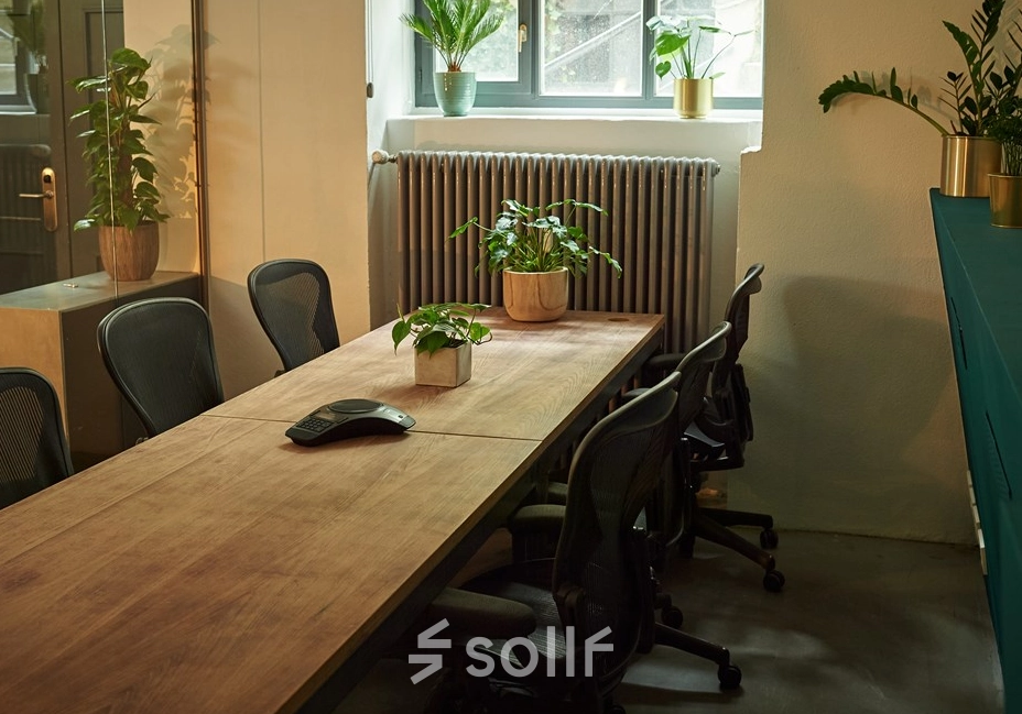 Cozy office space at Amalienstraße 71, Munich Maxvorstadt, featuring a wooden conference table surrounded by chairs, accented with potted plants for a refreshing touch. Ideal for office space rental.