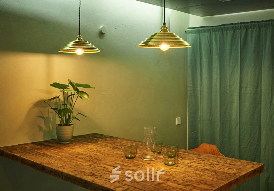 Cozy office space for rent in Munich Maxvorstadt at Amalienstraße 71, featuring wooden table, pendant lighting, and plant decor.