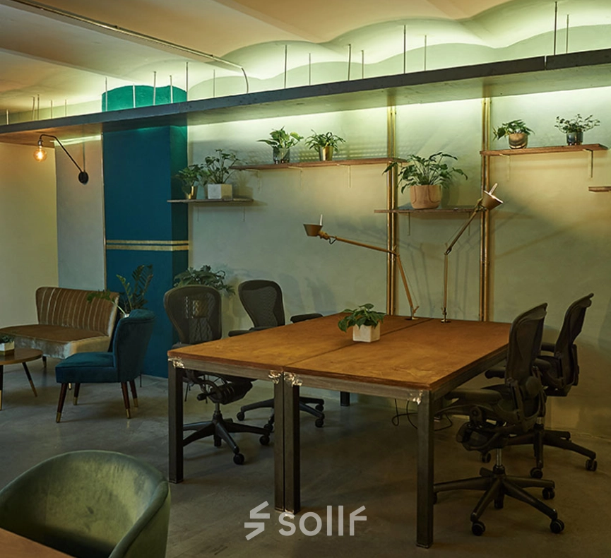 Stylish office space for rent at Amalienstraße 71, Munich Maxvorstadt, featuring a furnished interior with modern desks, chairs, and plants creating a welcoming atmosphere for office space rental.