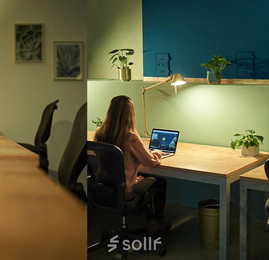 A furnished office space at Amalienstraße 71, Munich Maxvorstadt, with a person working at a desk, featuring plants and a laptop, illustrating a cozy environment for office space rental.