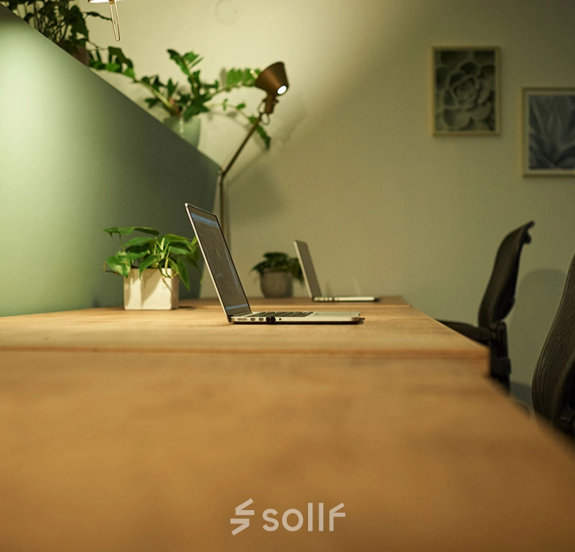 Cozy office space with wooden desks, laptops, and green decor, available for rent at Amalienstraße 71, Munich Maxvorstadt.