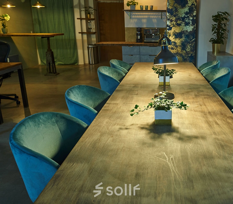 A well-lit office workspace with a long wooden table, blue chairs, and potted plants in Munich's Amalienstraße 71, ideal for office space rental.