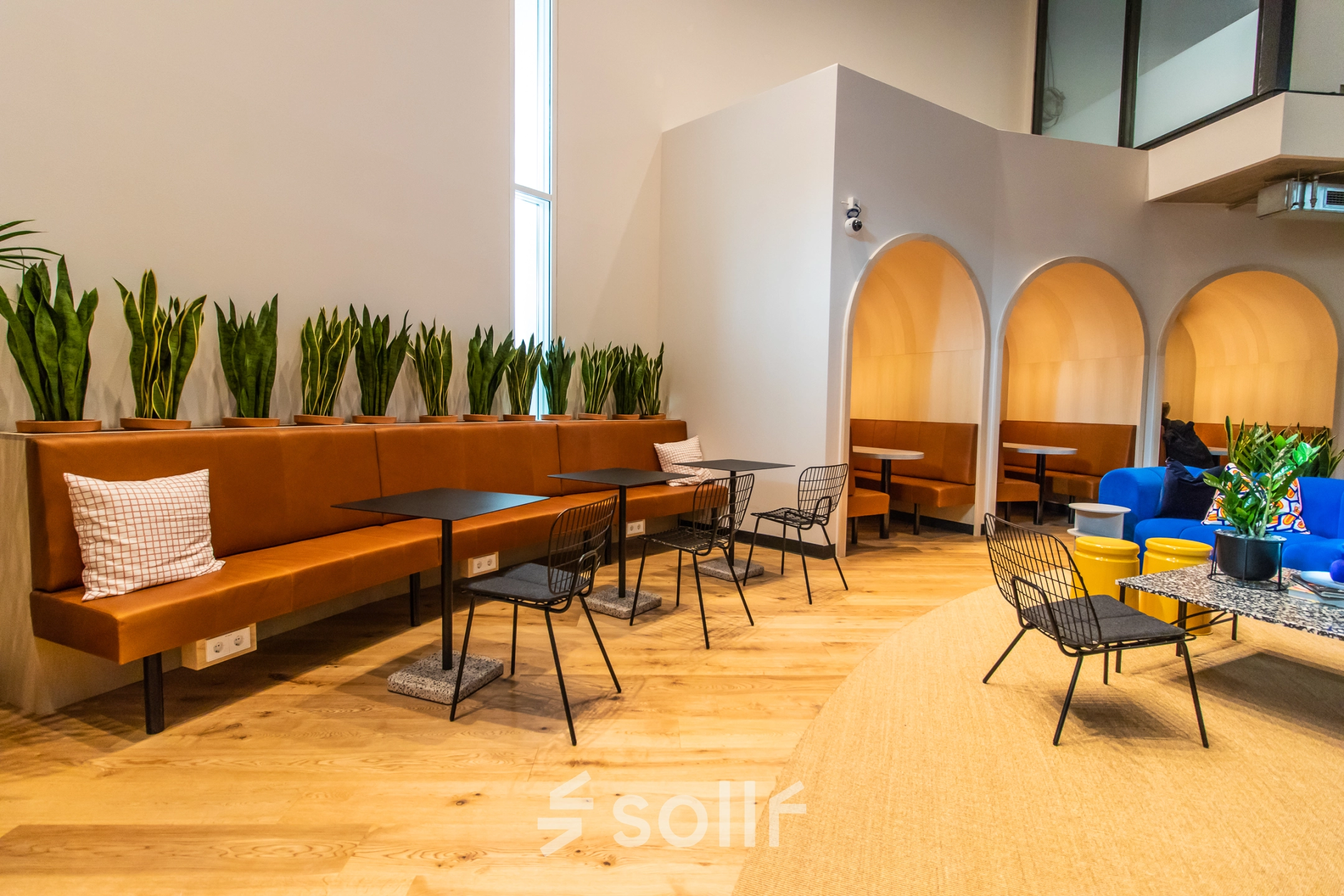 Brightly lit office space in Munich Maxvorstadt with modern furnishings, featuring comfortable seating and a row of potted plants along the wall.