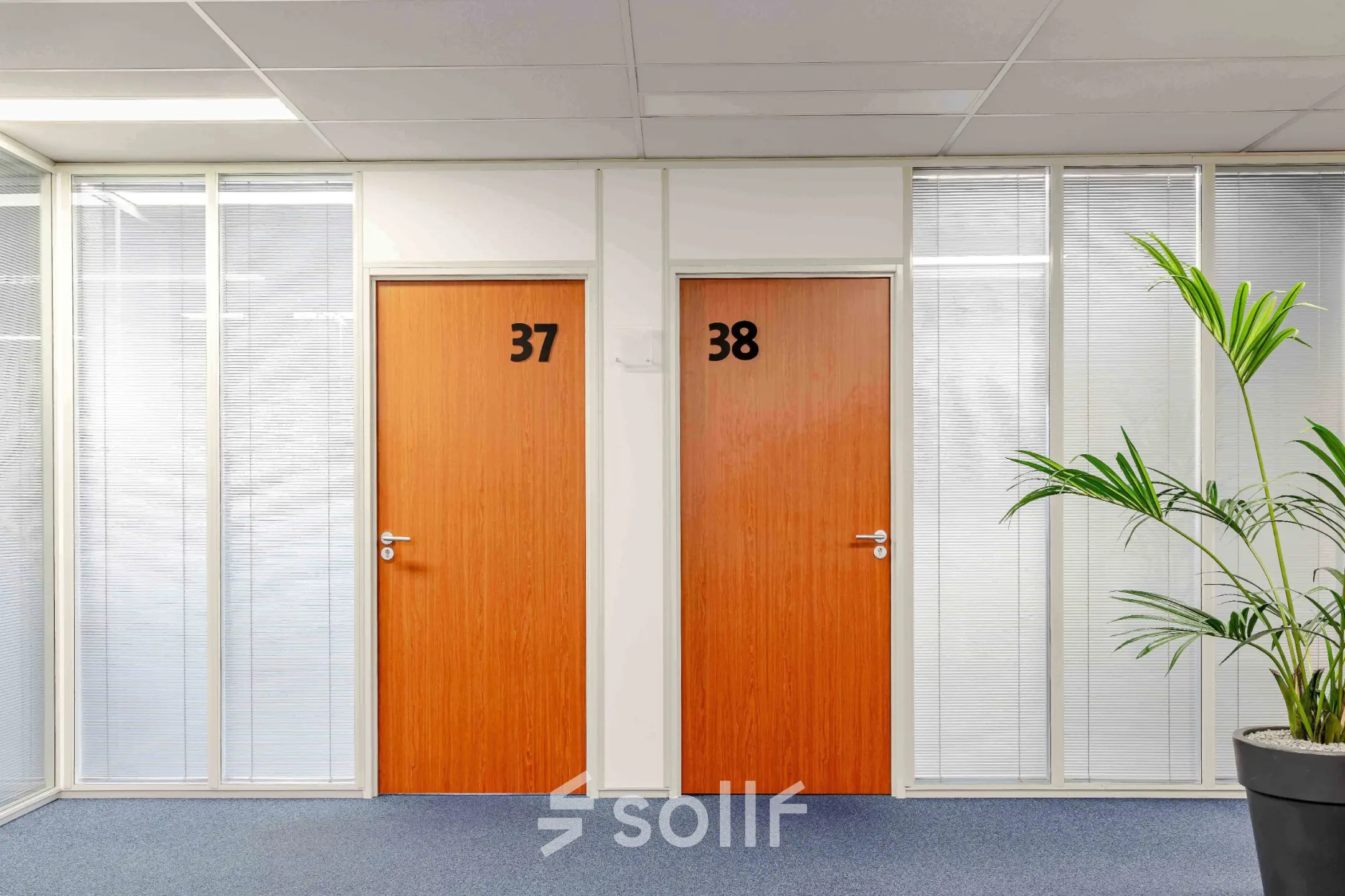 Interior hallway at Leeghwaterstraat 25, Reeuwijk, featuring two office doors with numbers 37 and 38, suitable for office space rental.