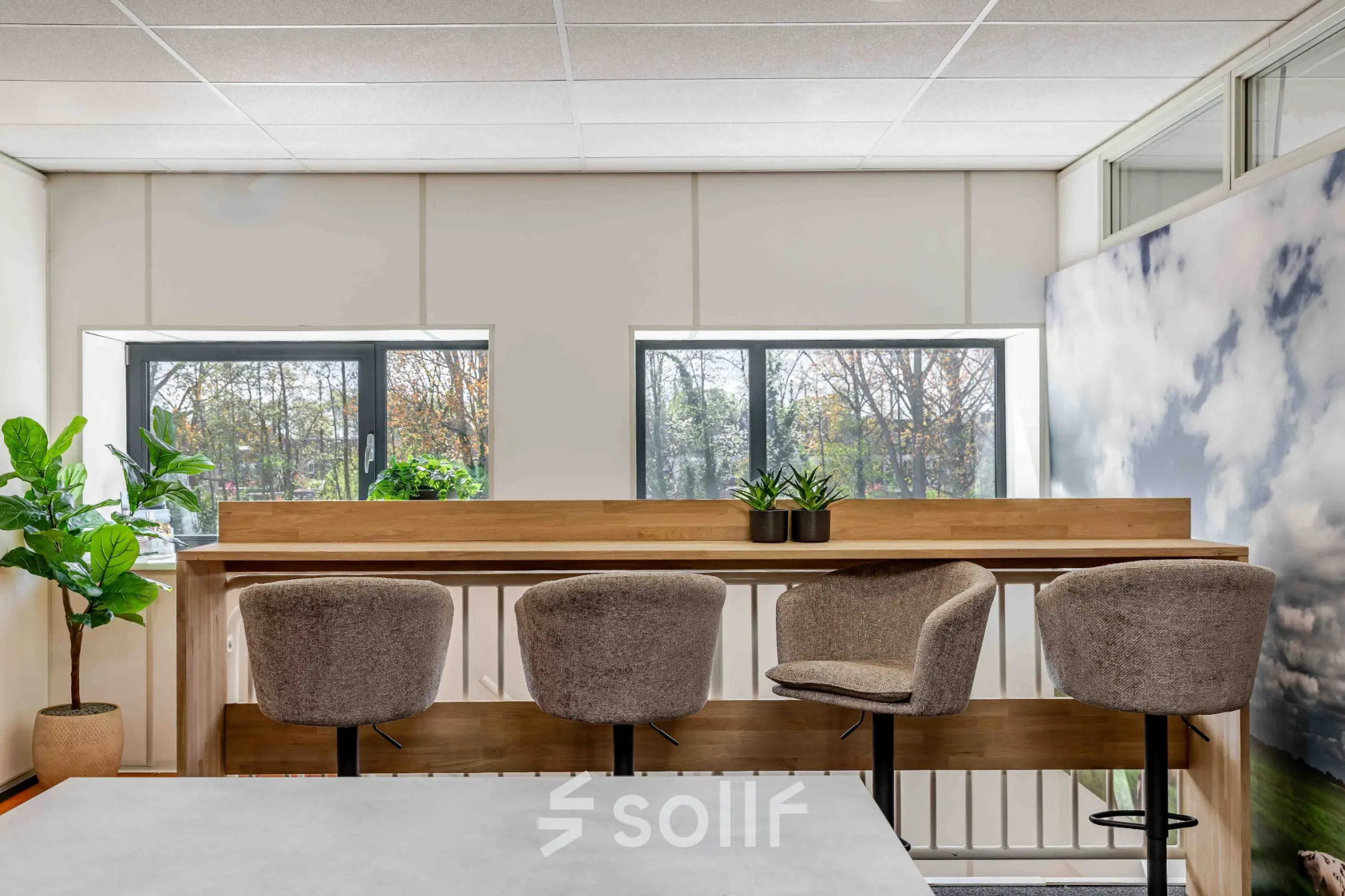 Modern office space with bar stools and plants, offering a scenic view through large windows.