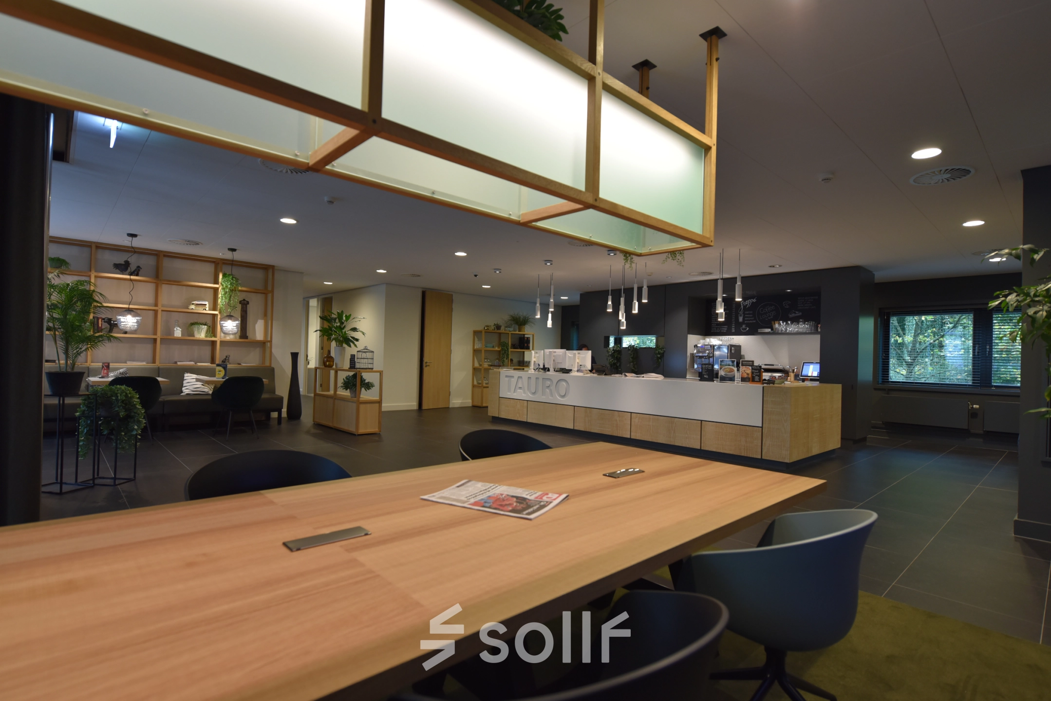 Spacious and modern office space with wooden tables, chairs, and plants at Laan van Vredenoord 33, ideal for office space rental.