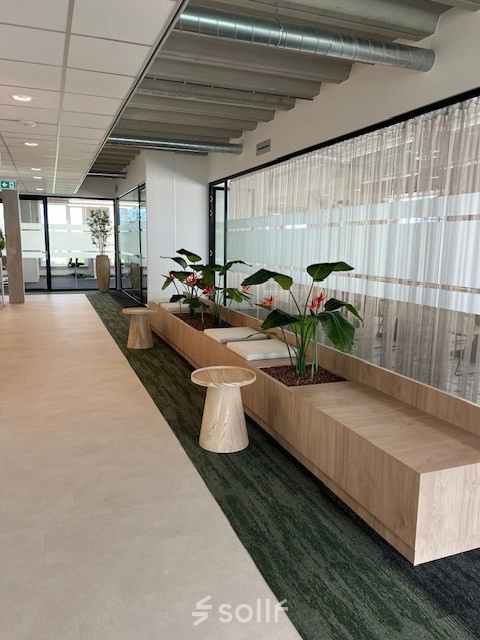 Modern office space at Bahialaan 100, Rotterdam Brainpark, available for rent. Bright hallway with wooden seating and greenery accents.