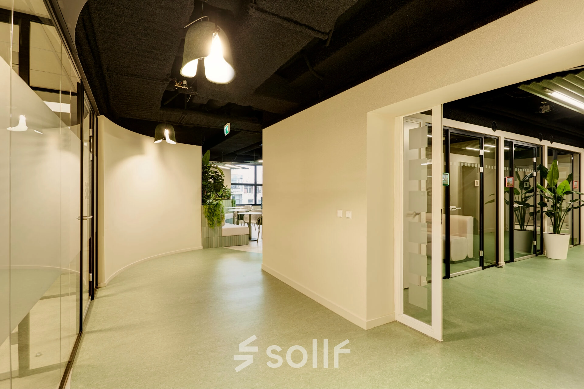 Bright office space for rent at Weena 335, Rotterdam Center featuring modern lighting, glass walls, and a plant accent, ideal for office space rental.