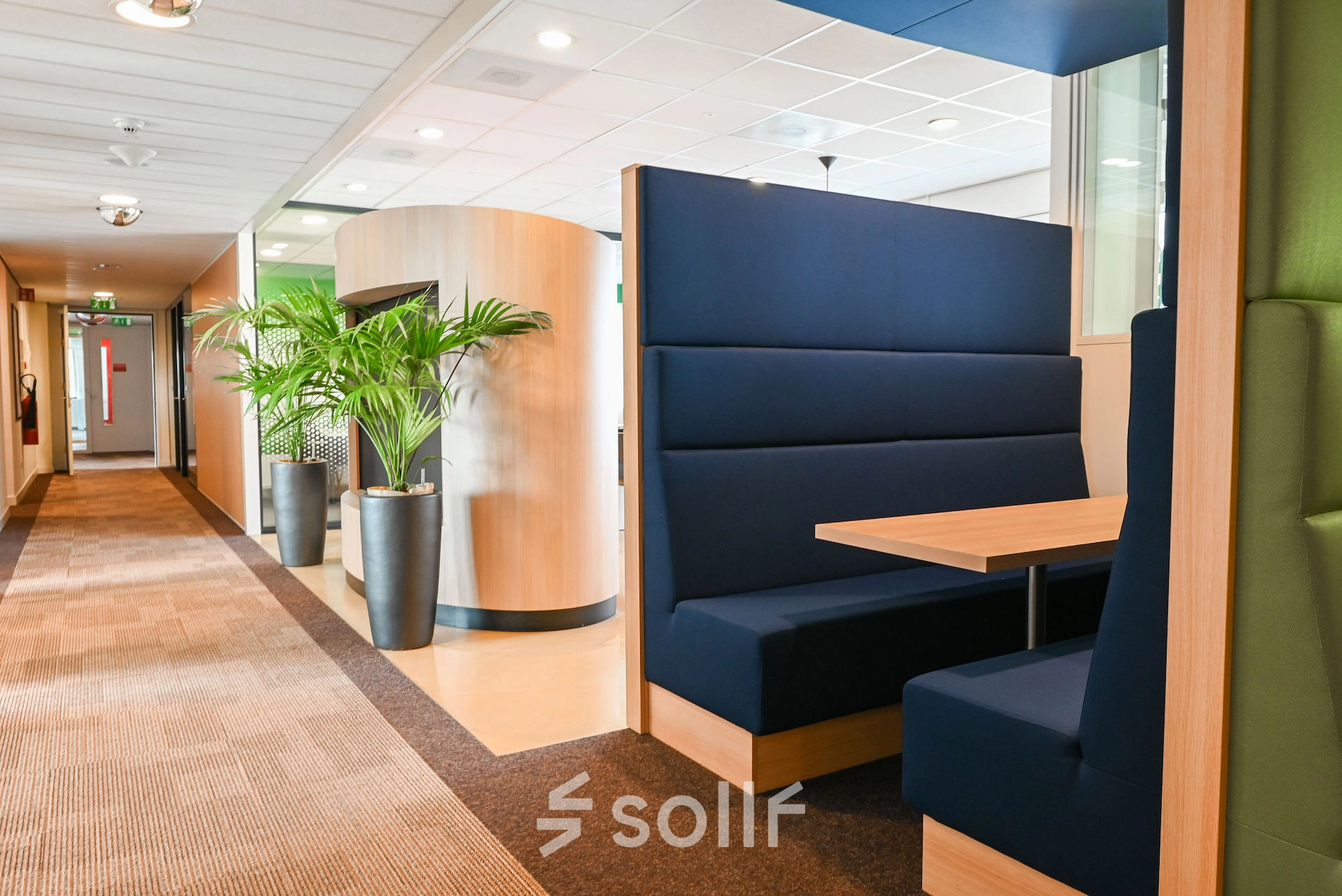 Modern office space at Weena 70, Rotterdam Center featuring stylish blue seating booths ideal for meetings, beside lush green plants. Perfect for those seeking office space rental options.