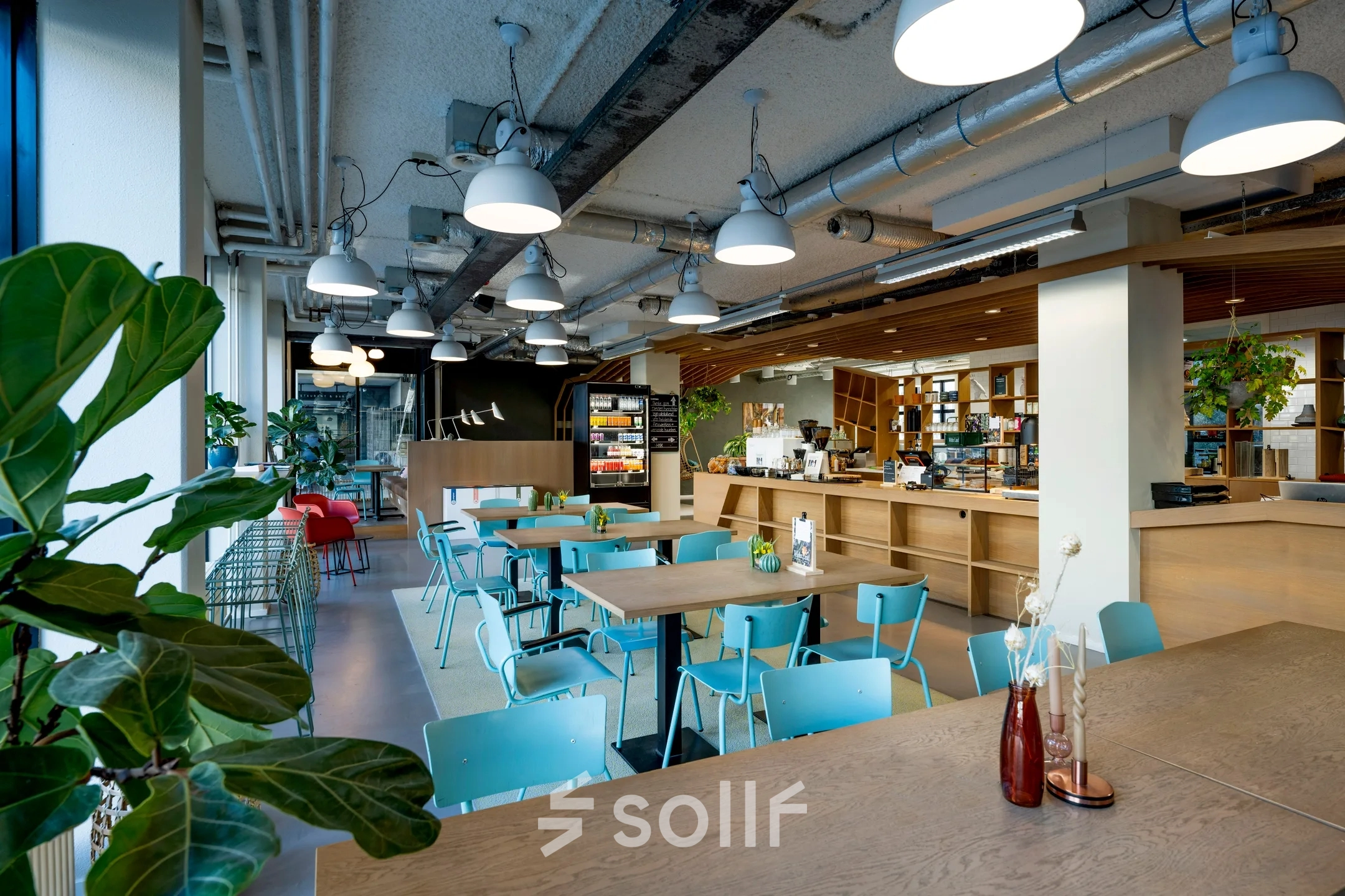 Bright office space at Westblaak 180, Rotterdam Center, with modern furnishings and greenery. Ideal for office space rental with spacious tables and vibrant decor.