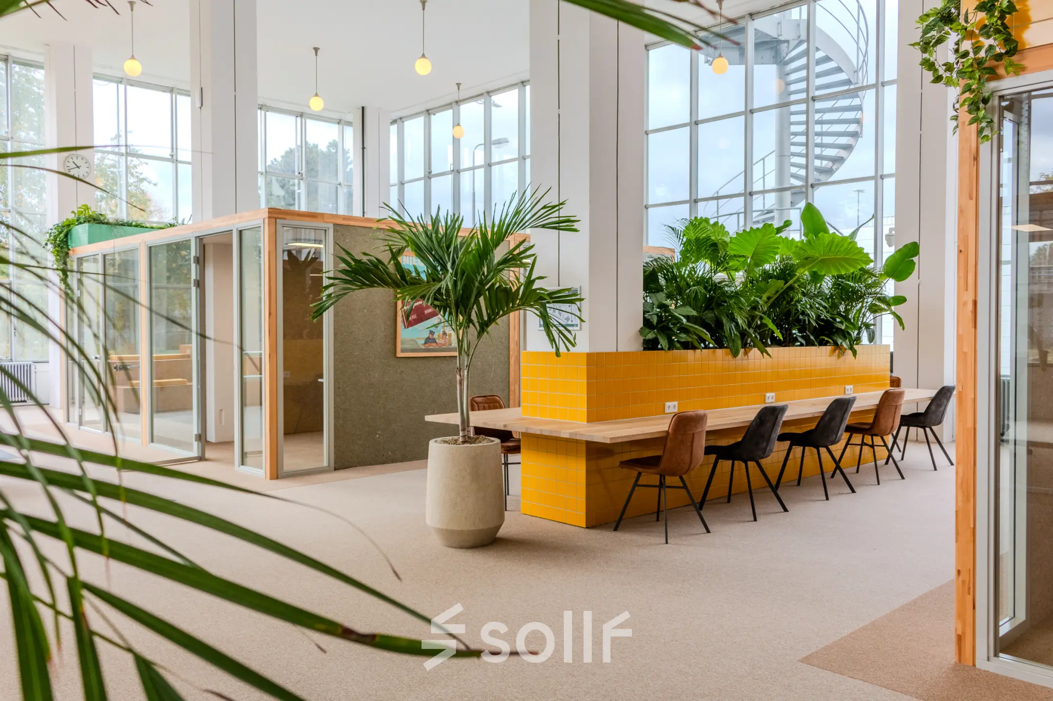 Vibrant office space at Van Nelleweg 1, Rotterdam Delfshaven, featuring large windows, plants, and stylish furniture perfect for office space rental.