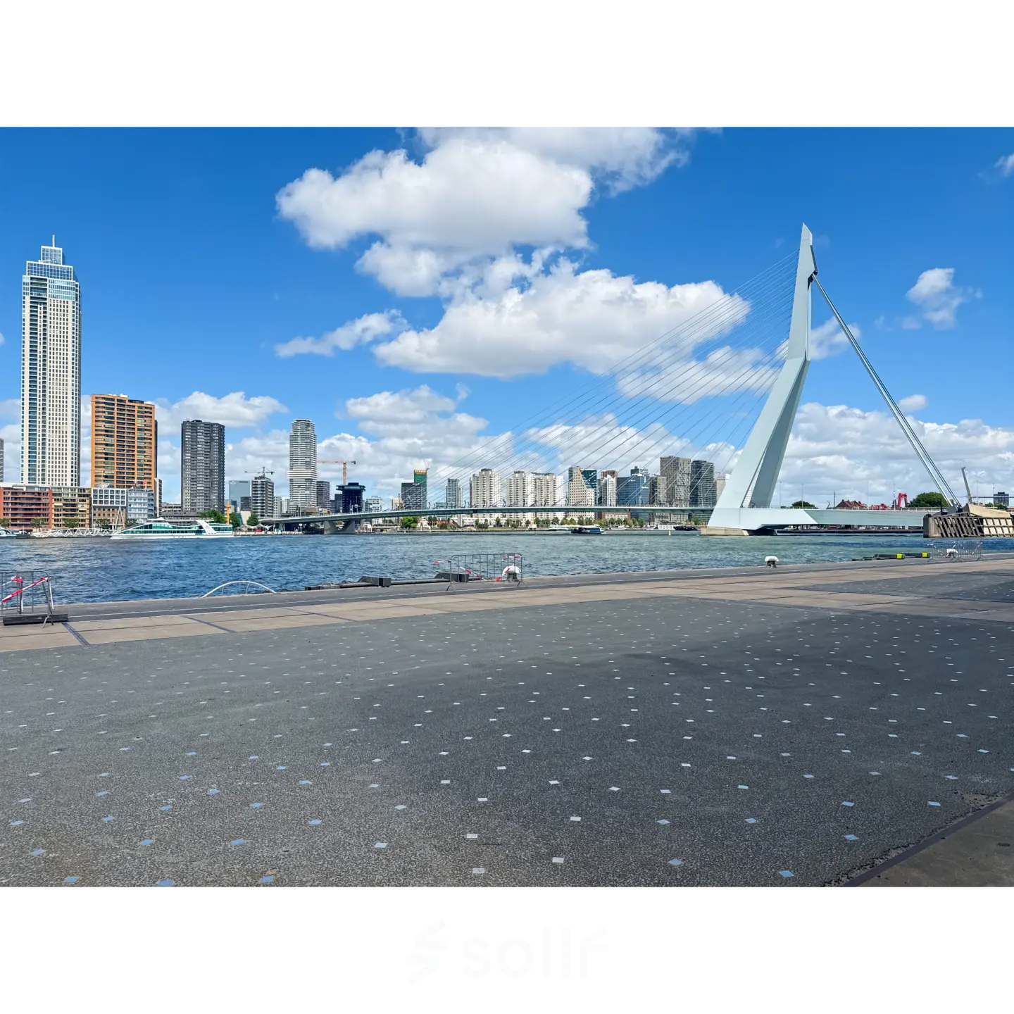 View of Rotterdam's skyline and Erasmus Bridge from Wilhelminakade 173, ideal for enterprises seeking office space rental with inspiring surroundings.