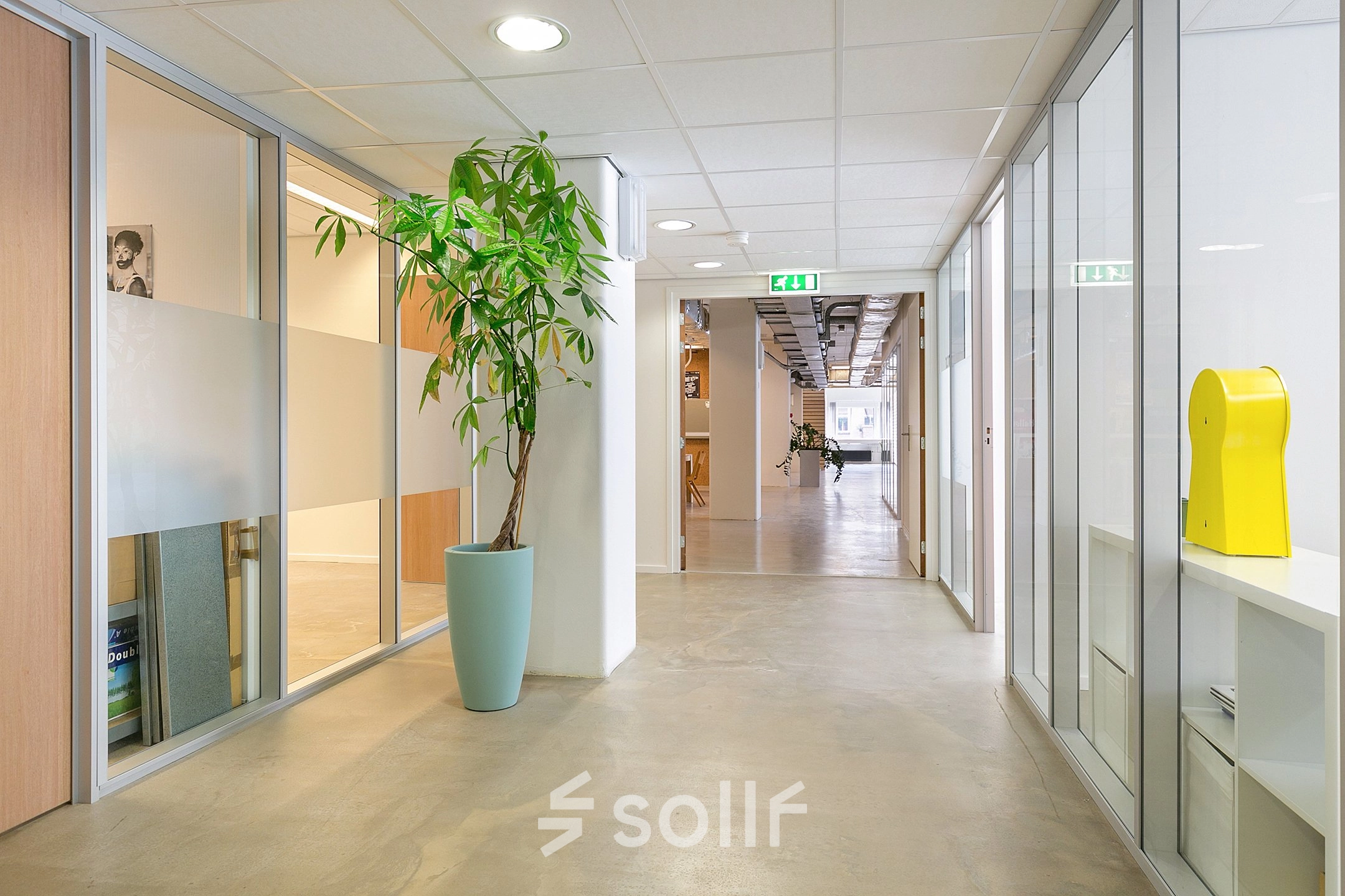 Modern office corridor in Rotterdam North, featuring sleek glass walls and a large potted plant at Linker Rottekade 292, ideal for office space rental.