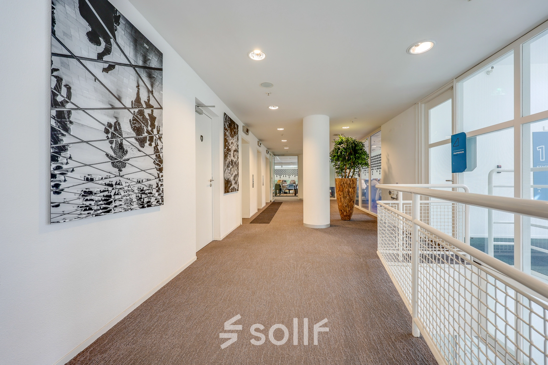 Spacious corridor in an office space rental at Kalvermarkt 53, The Hague Center, featuring carpet flooring, modern wall art, and decorative plant, ideal for businesses seeking an office to rent.