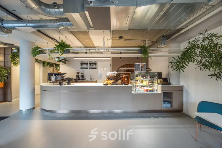 Modern office space in The Hague Center with a sleek interior design, featuring a pantry area complete with food displays and hanging plants.