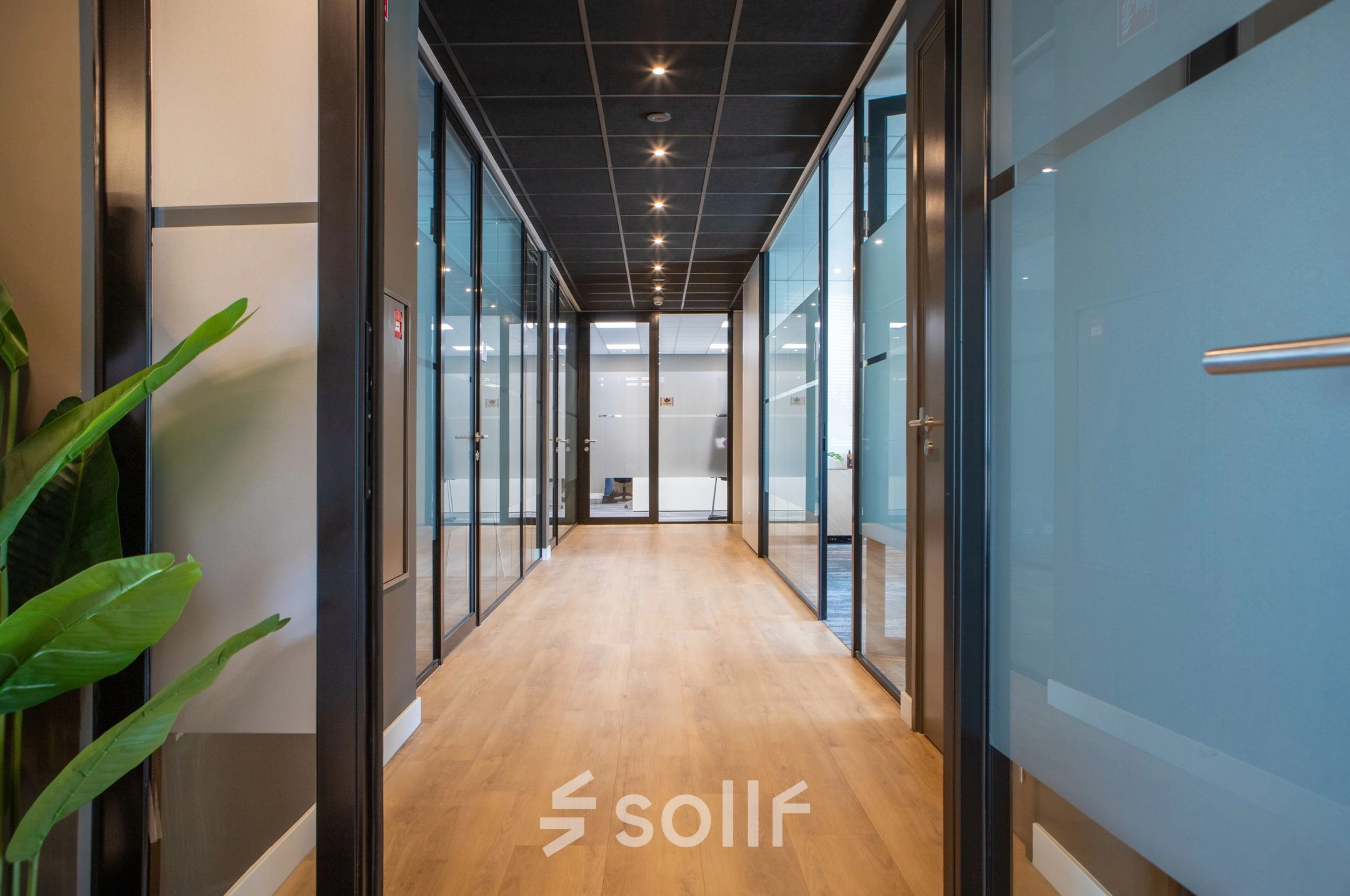 Bright office hallway with glass doors and wooden floors at Kapitein Rondairestraat 8, Tilburg, perfect for office space rental.