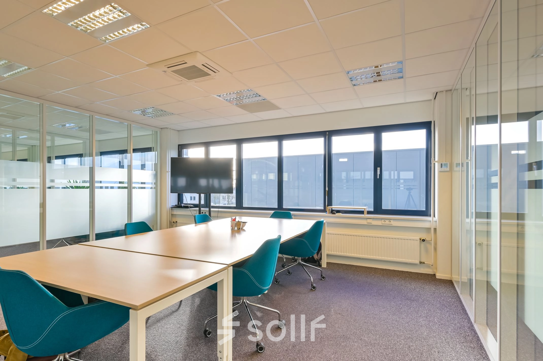 Bright and modern office space with large windows, furnished with a long wooden table and blue chairs, suitable for meetings or collaborative work.