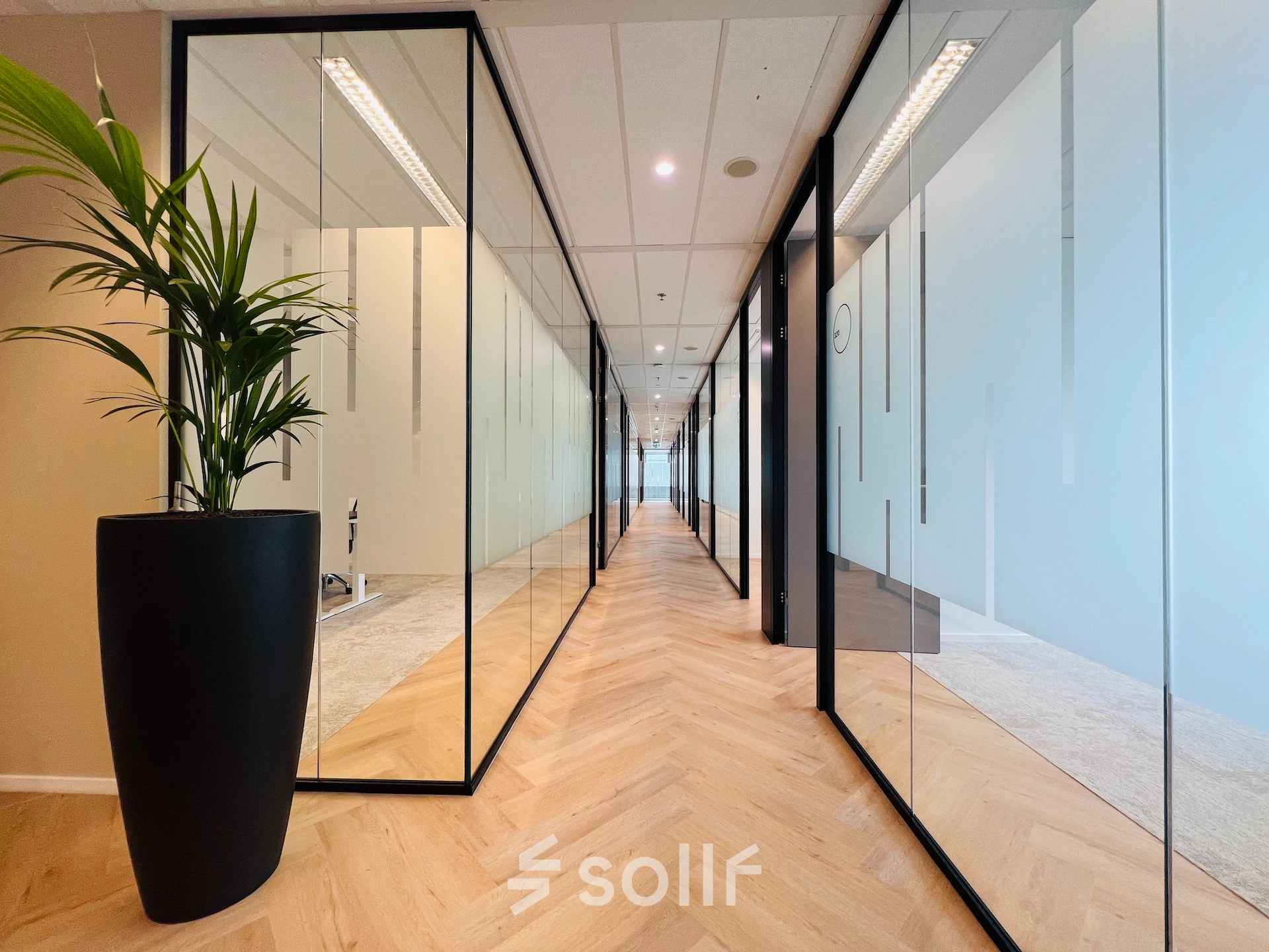 Spacious office corridor with sleek glass partitions and potted plant, located at Vliegend Hertlaan 15 in Utrecht South, suitable for office space rental.