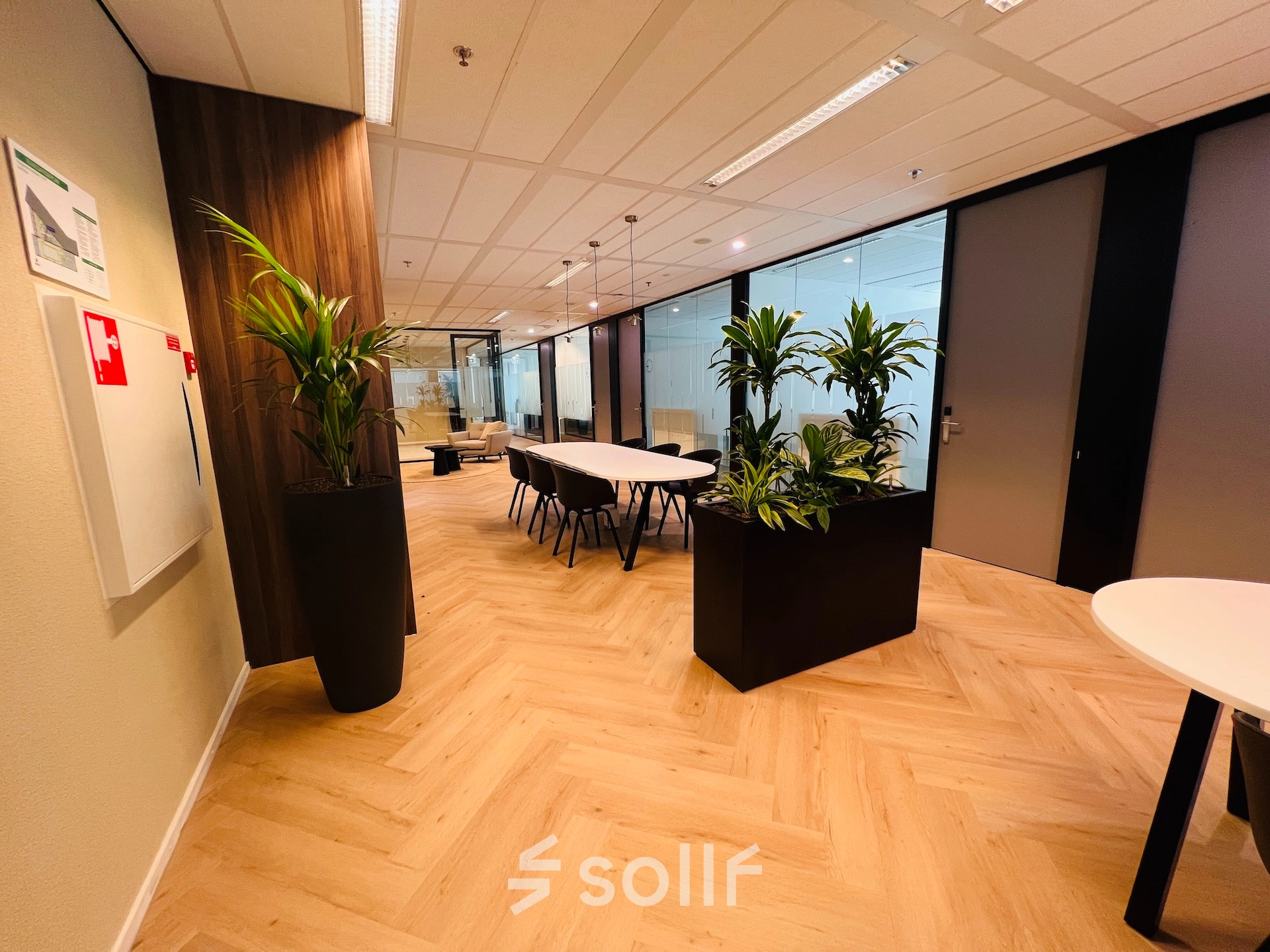 Interior view of an office space in Utrecht South featuring modern furnishings and plants, ideal for rental workspace needs.