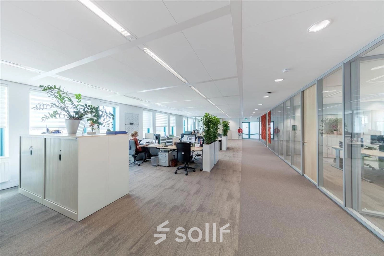 Bright Voorburg office space with desks and a worker engaged in business tasks, ideal for office space rental.