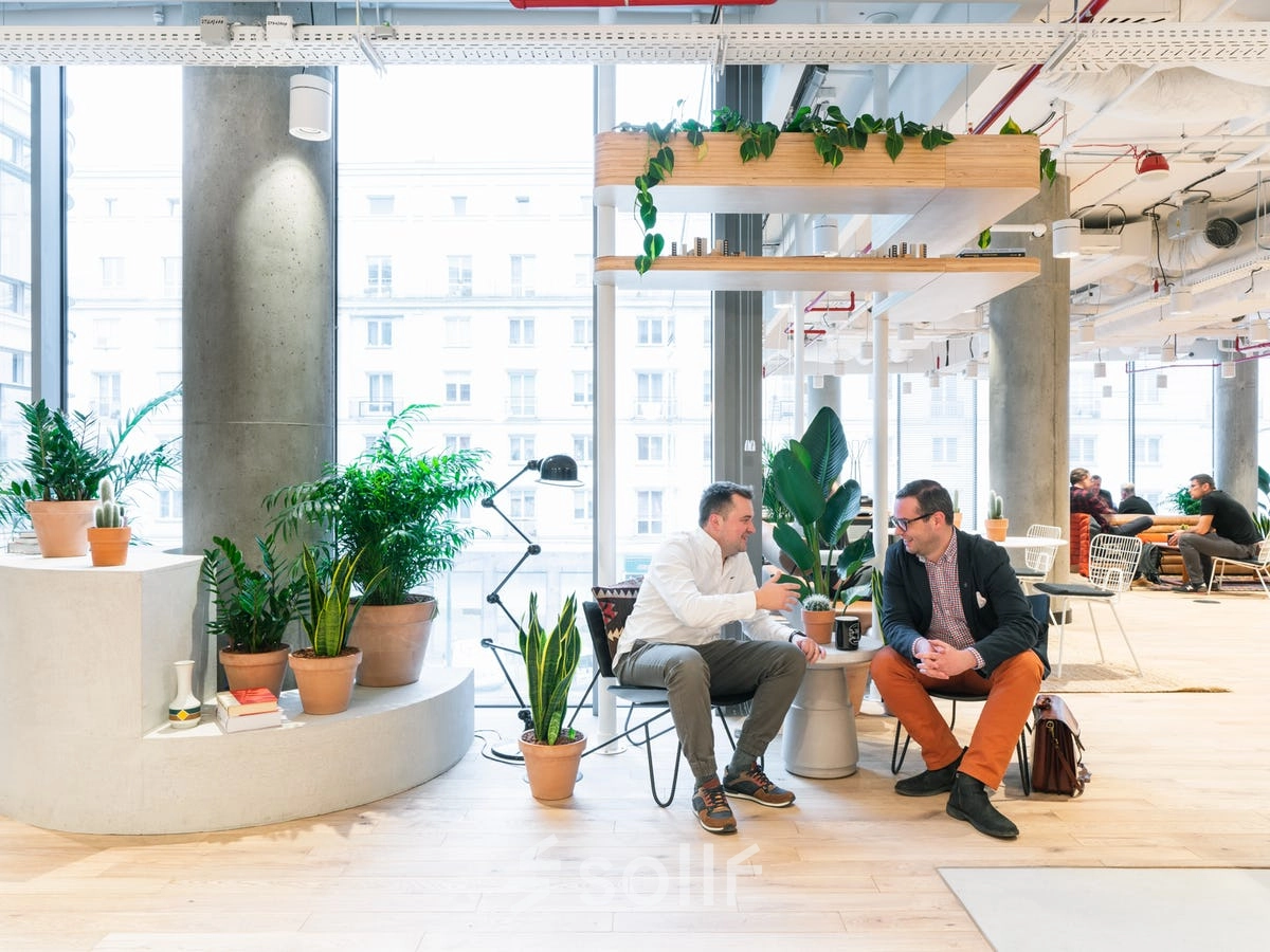 Modern office to rent at Krucza 50, Warsaw Śródmieście with professionals engaged in a meeting. Bright space with plants and contemporary furniture ideal for office space rental.