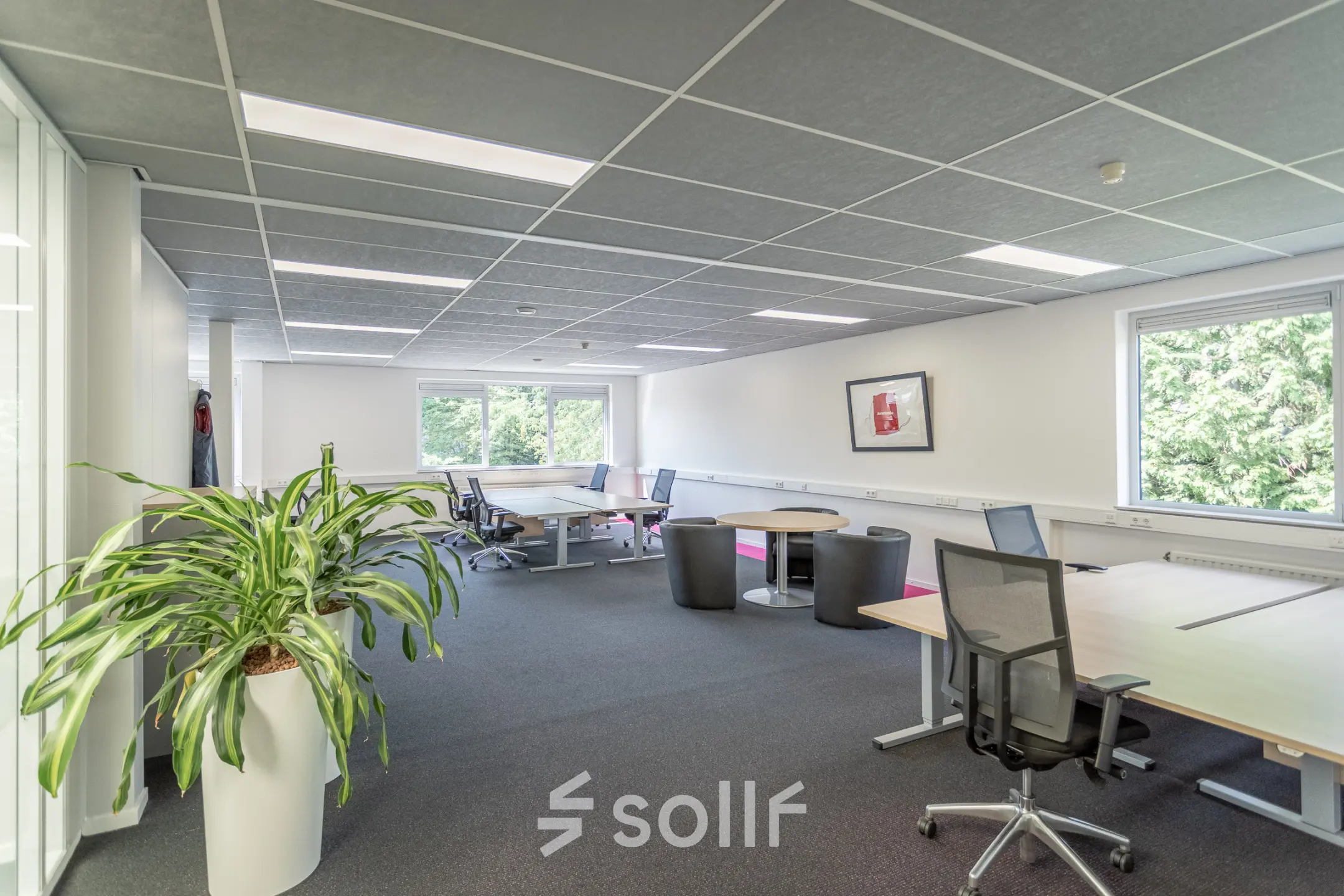 Modern office space with several workstations, natural light from large windows, and a potted plant, available for rent at Molenweer 2, Wateringen.