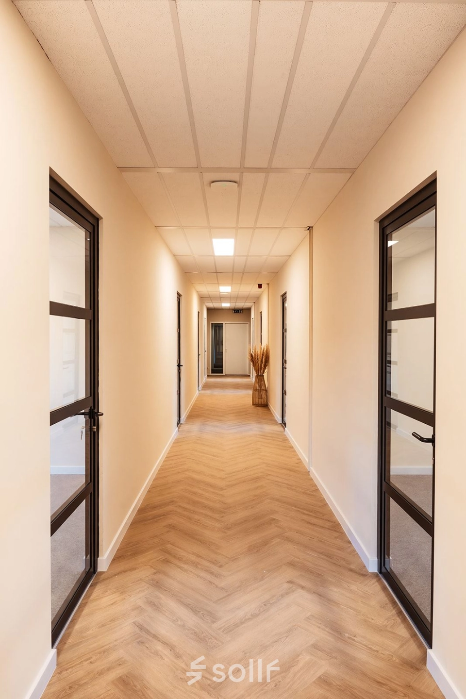 Interior hallway at Mercurion 24, Zevenaar, featuring wooden flooring and glass doors ideal for office space rental.