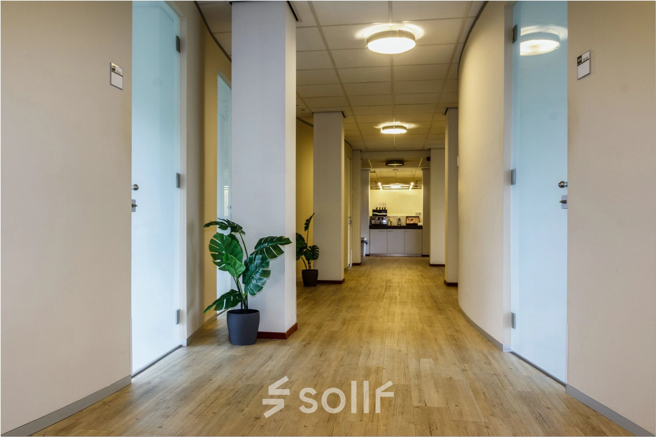 Spacious hallway at Bredewater 26 in Zoetermeer, featuring sleek wooden floors, modern lighting, and subtle greenery, offering a welcoming pathway to various office spaces. Ideal for office space rental.
