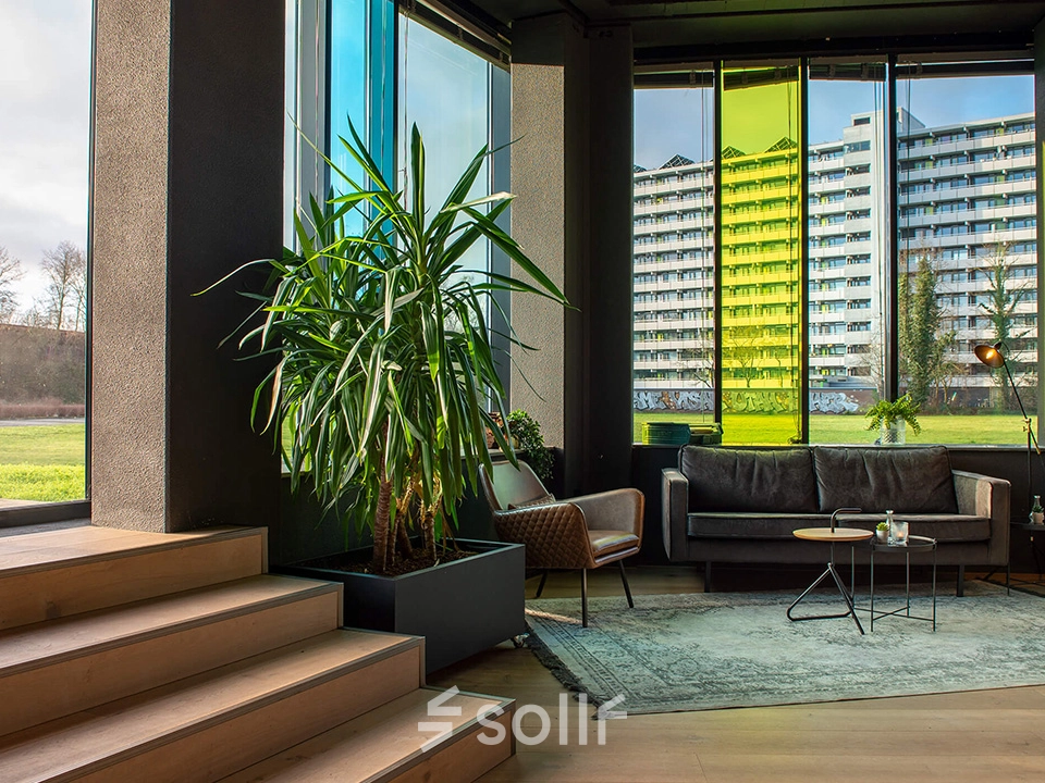 Modern furnished office space for rent in Zwolle with large windows, contemporary seating area, and vibrant plant decor.