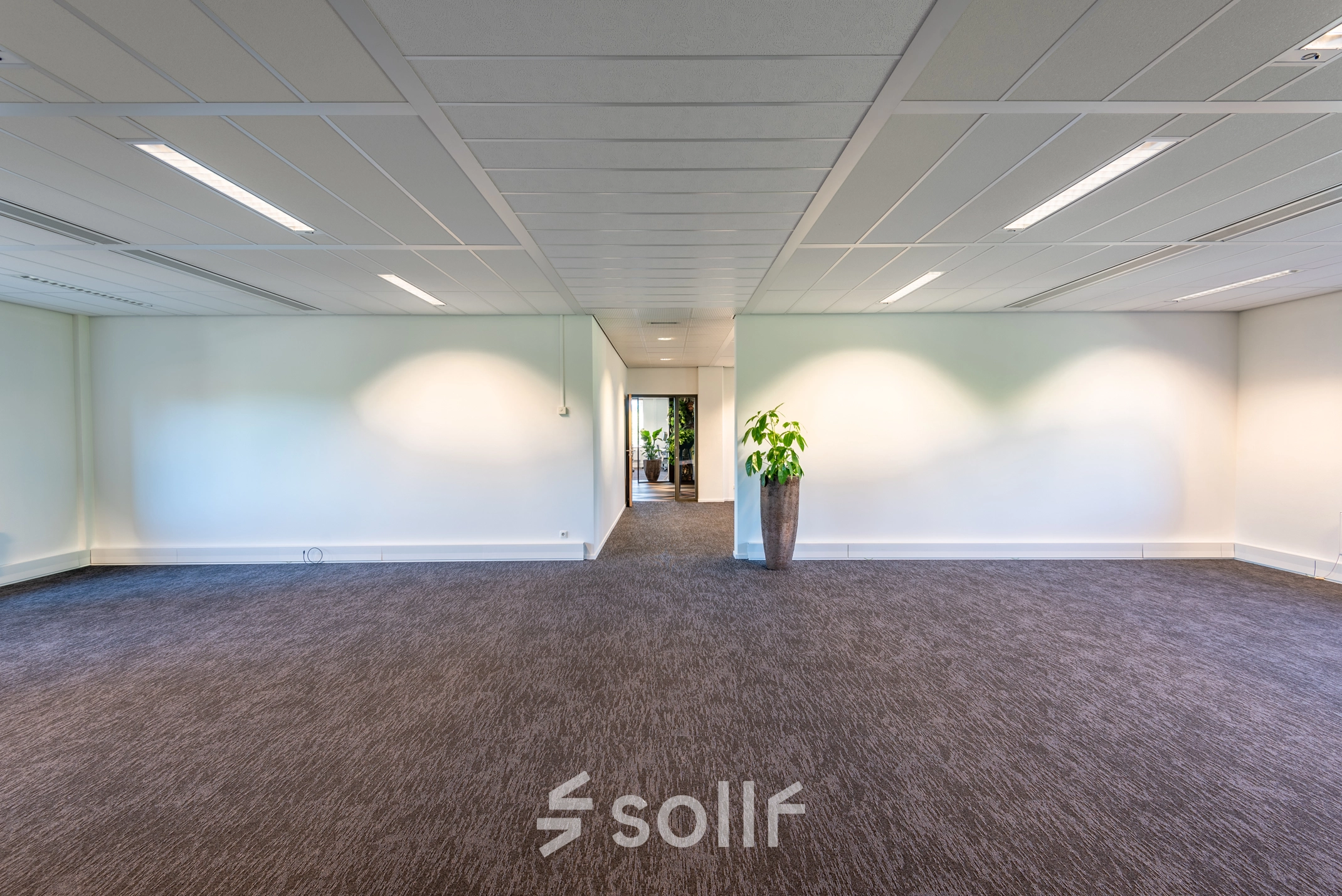 Leeg kantoor op Stadsring 115, Amersfoort Centrum. De ruimte heeft een neutrale vloerbedekking en helder verlichte wanden met een grote plant in de hoek. Ideaal voor kantoorruimte huren.