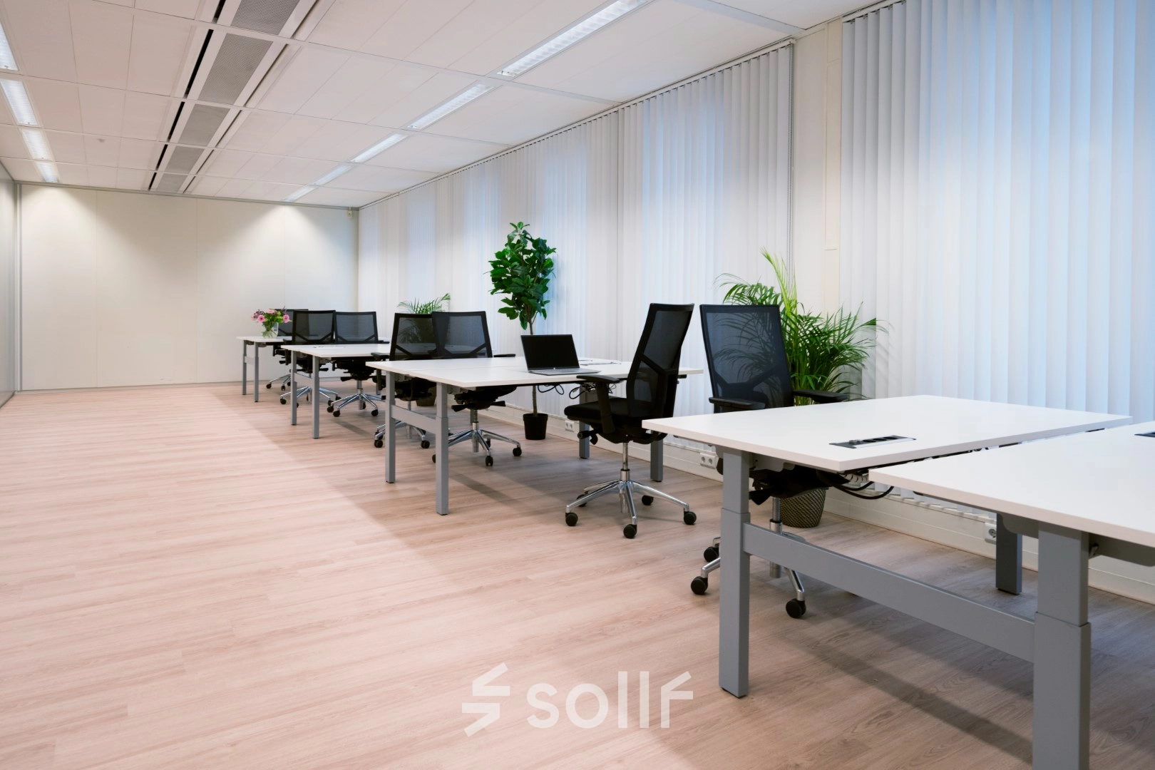 Lichte en ruime kantoorruimte huren met vier bureaus en ergonomische stoelen, omgeven door planten, bij Handelsweg 53 in Amstelveen. Grote ramen zorgen voor veel daglicht en een productieve werkomgeving.