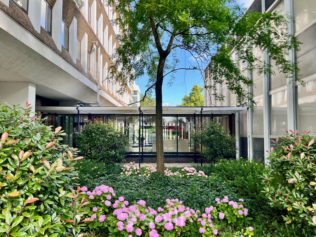 Uitzicht op de groene buitenruimte van het kantoorpand aan de Professor E.M. Meijerslaan 1 in Amstelveen.