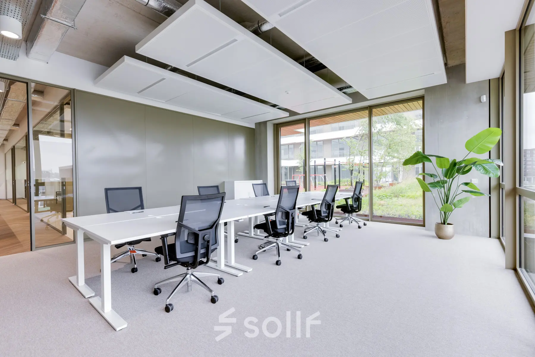 Heldere kantoorruimte op Willem Fenengastraat 16, Amsterdam Amstel, met moderne werkplekken, grote ramen en planten. Ideaal om kantoorruimte te huren voor een productieve werkomgeving.