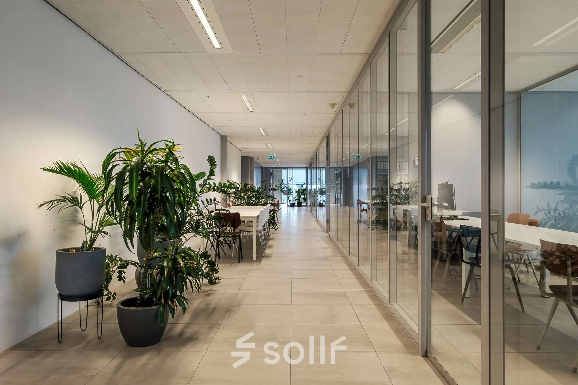 Moderne kantoorruimte huren op Pedro de Medinalaan 7 in Amsterdam IJburg met glazen wanden en groene planten.