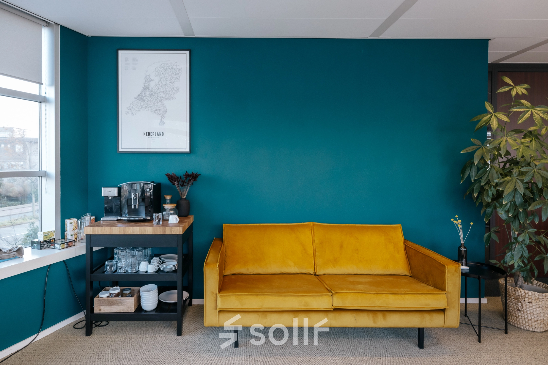 Lichte kantoorruimte in Amsterdam Noord met een gele bank, een koffietafel en een diepblauwe muur. Ideale plek om kantoorruimte te huren.