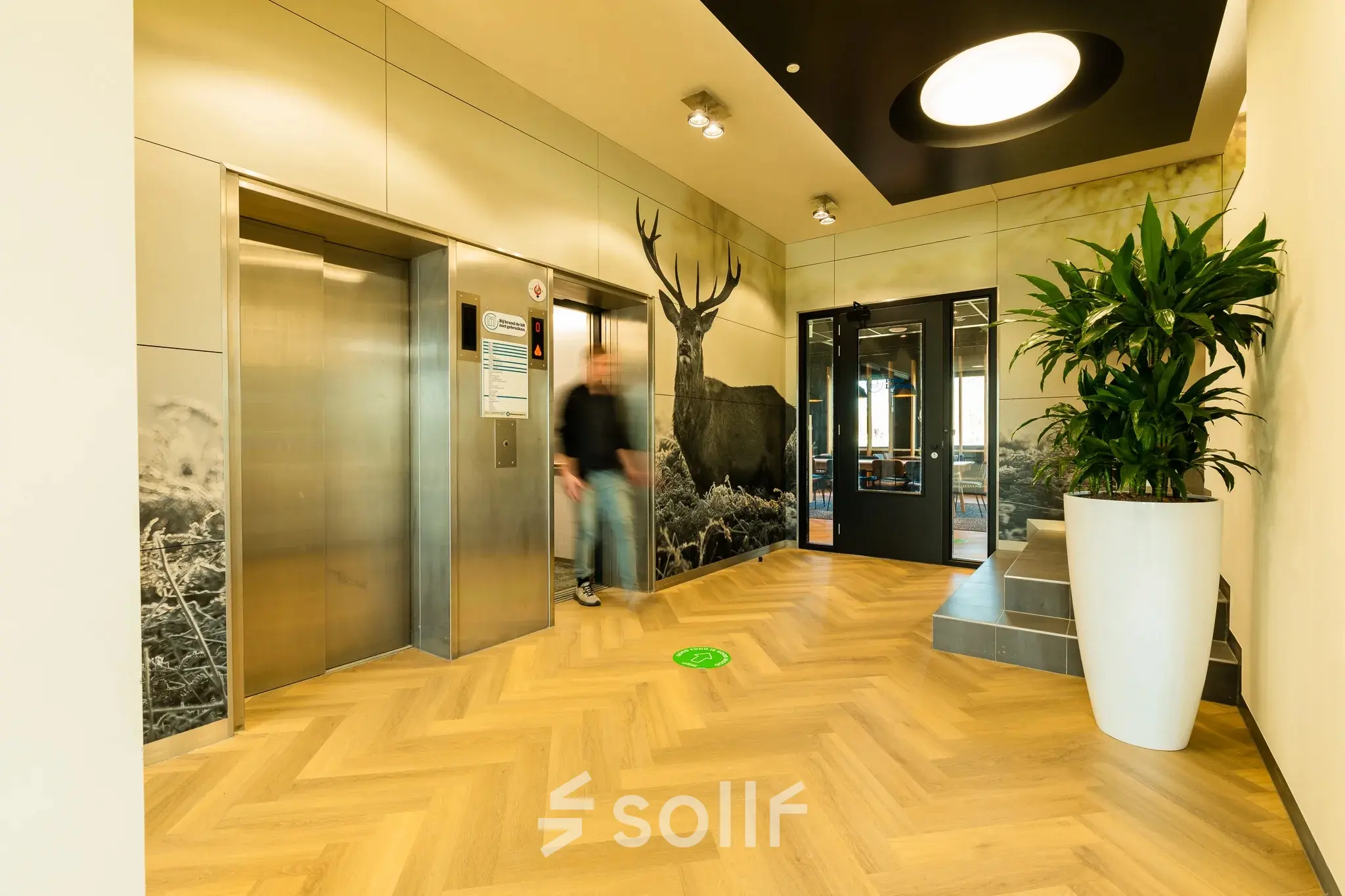 Hal met uitzicht op twee liften, houten vloer in visgraatpatroon, grote plantenbak en wanddecoratie met hertenafbeelding. Persoon loopt richting de deur. Geschikt voor kantoorruimte huren.