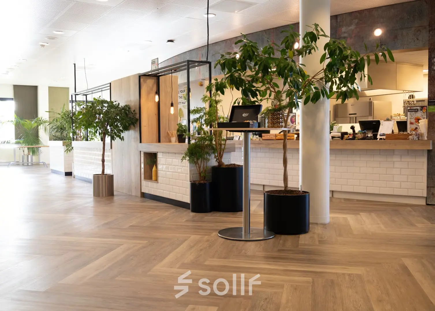 Moderne en lichte ontvangst-/receptieruimte met houten vloer, planten en een balie in een kantoorpand aan Schumanpark 9, Apeldoorn.