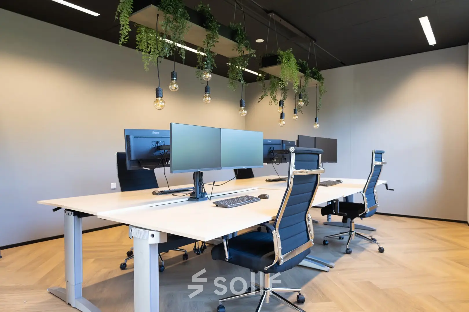 Moderne kantoorruimte huren in Apeldoorn met verstelbare bureaus, ergonomische stoelen en hangende planten voor een inspirerende werkplek.