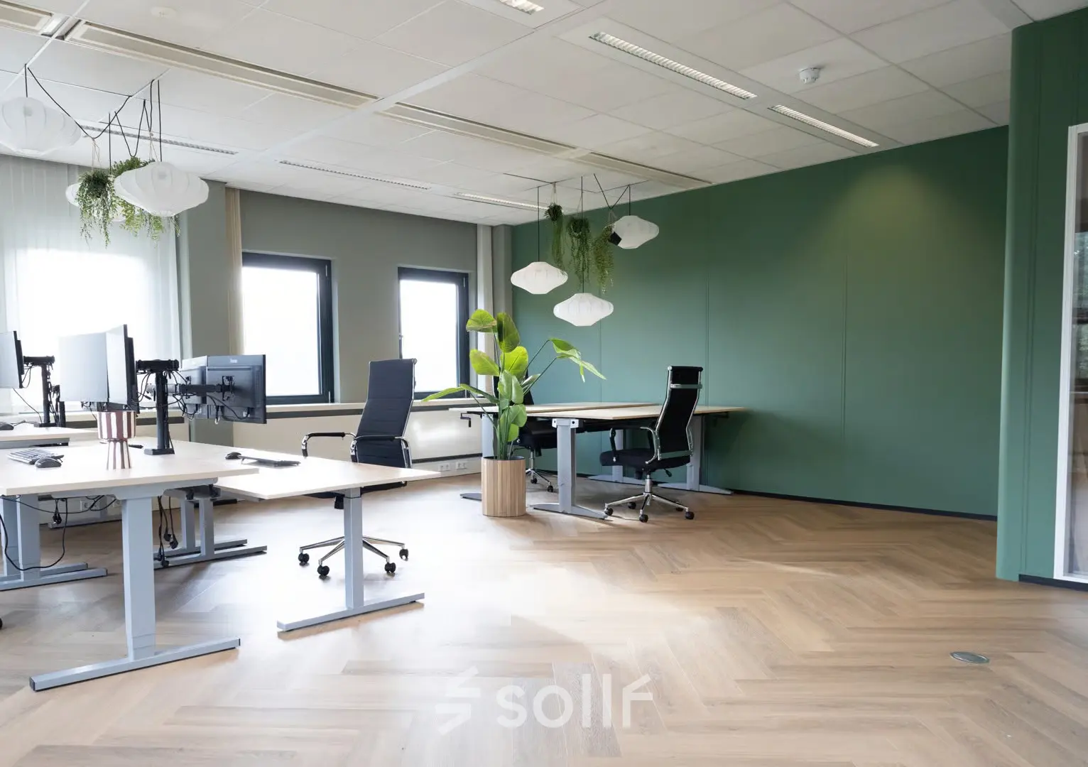 Moderne kantoorruimte met houten vloer en groene muren, gelegen in Apeldoorn op Schumanpark 9. De ruimte is gemeubileerd met bureaus en bureaustoelen, ideaal voor wie een kantoor wil huren.