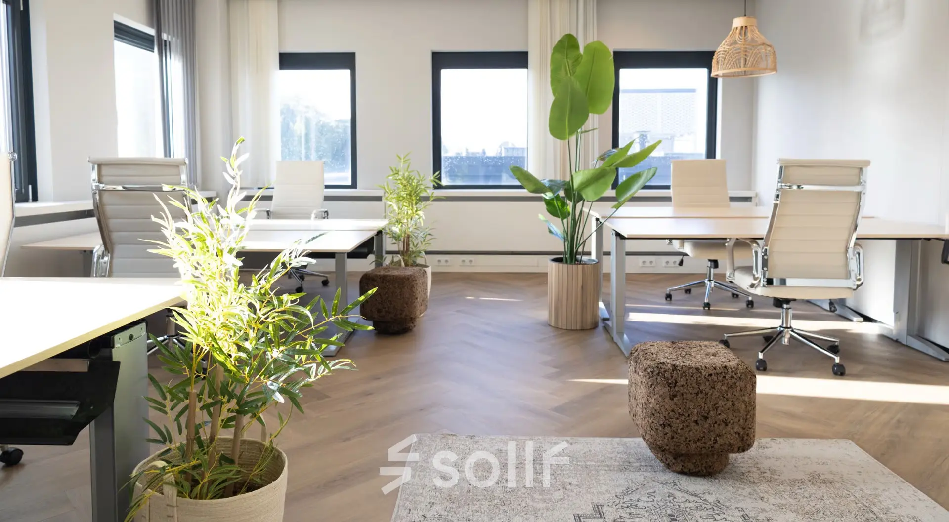 Lichte kantoorruimte met houten vloer op Schumanpark 9, Apeldoorn. Moderne bureaus met ergonomische stoelen, omgeven door planten, geschikt voor kantoorruimte huren.