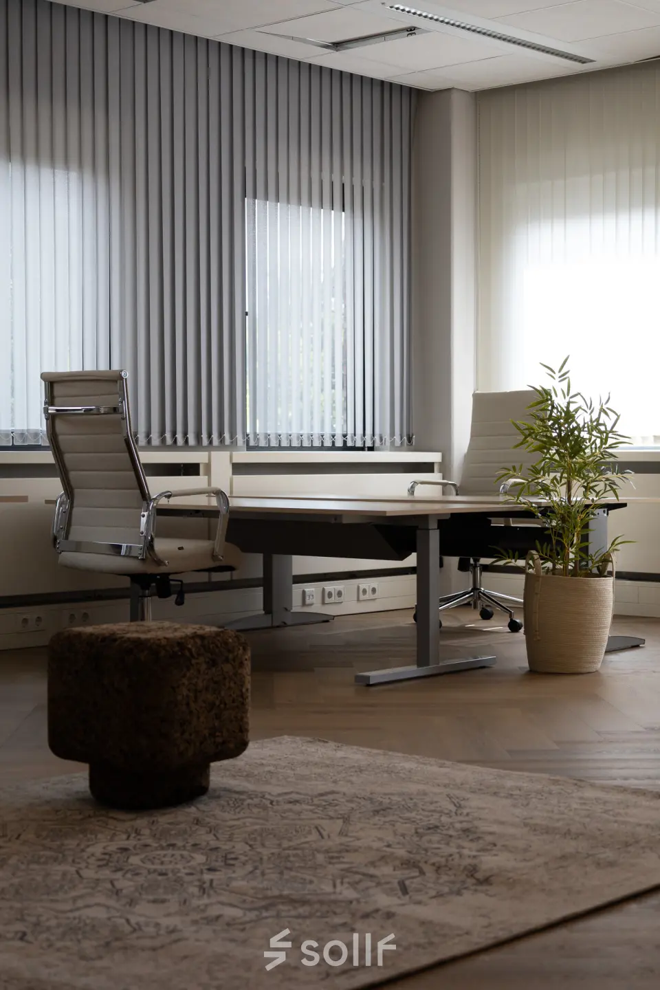 Ruim kantoorpand in Apeldoorn met moderne bureaus en stoelen, geschikt voor wie kantoorruimte wil huren. De kamer heeft een groot raam met veel licht en een plant voor een frisse uitstraling.