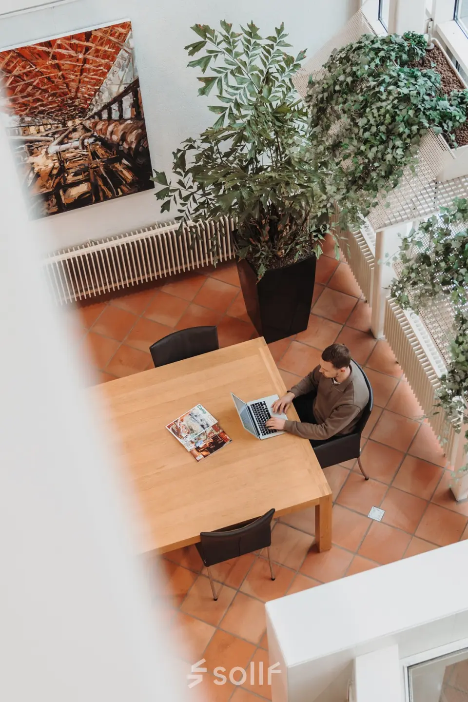 Kantoorruimte huren op Vlamoven 34 in Arnhem IJsseloord met een ruime tafel en veel groen. Een persoon werkt op een laptop. Grote ramen zorgen voor veel natuurlijk licht.