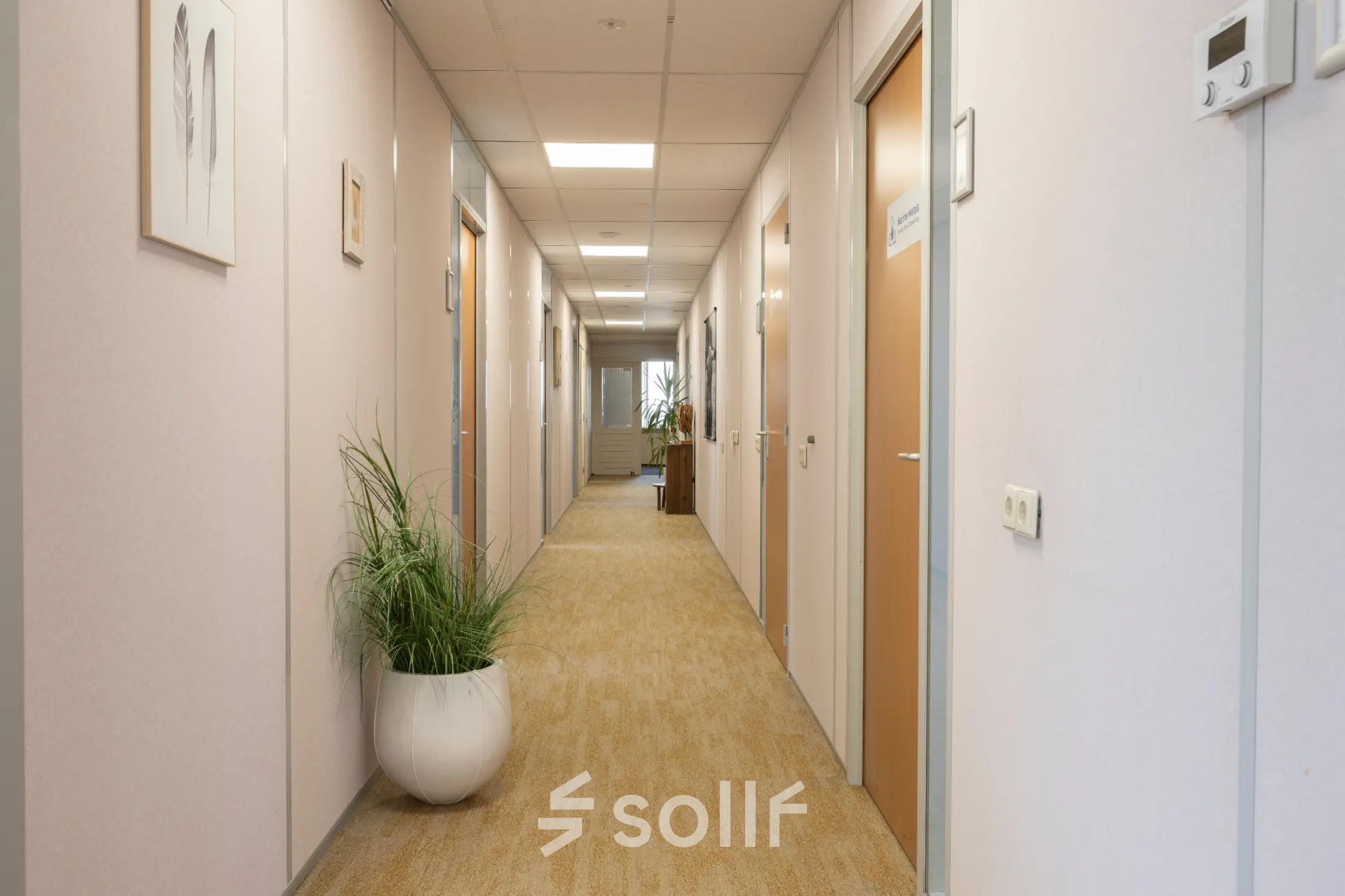 Lange gang in een kantoorpand met gesloten deuren aan beide zijden en een kantoorplant in een witte pot. Neutrale kleuren en tapijtbedekking. Locatie: Kamerlingh Onnesweg 10, Barendrecht.