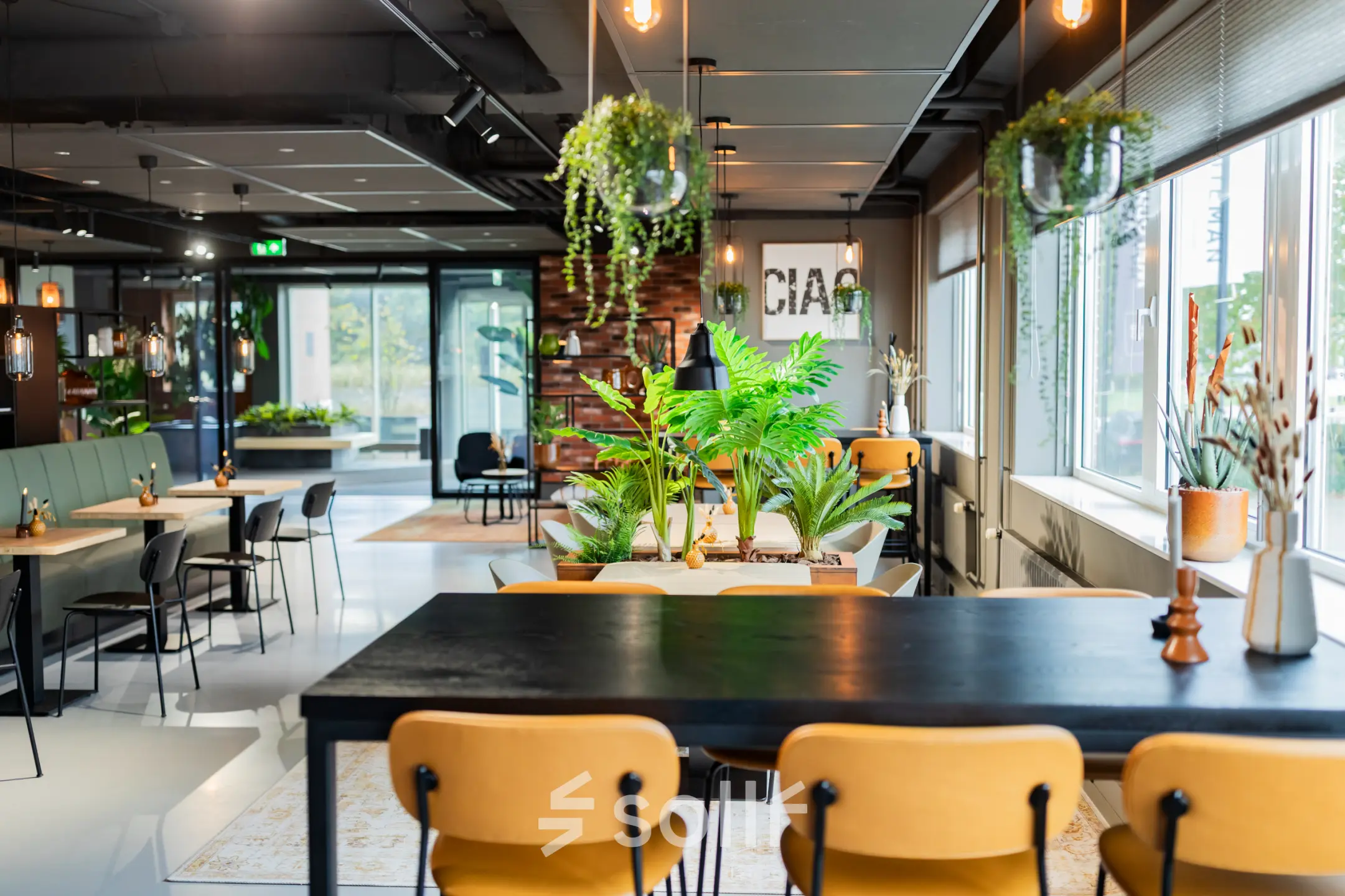 Moderne kantoorruimte in kantoorpand aan de Baron van Nagellstraat 136 in Barneveld, voorzien van tafels, stoelen en veel groenplanten, stimuleert efficiënte samenwerking en creativiteit.