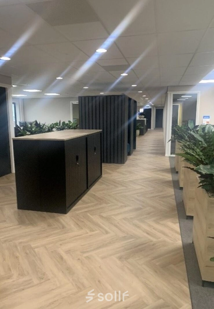 Moderne kantoorruimte te huur op Johan de Wittlaan 3-7 in Den Haag Statenkwartier, met houten vloeren en planten die de ruimte opfrissen.