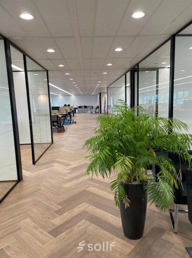 Moderne kantoorruimte te huur op Johan de Wittlaan 3-7 in Den Haag, met glazen wanden en houten vloer, biedt ruime werkplekken en groen decor.