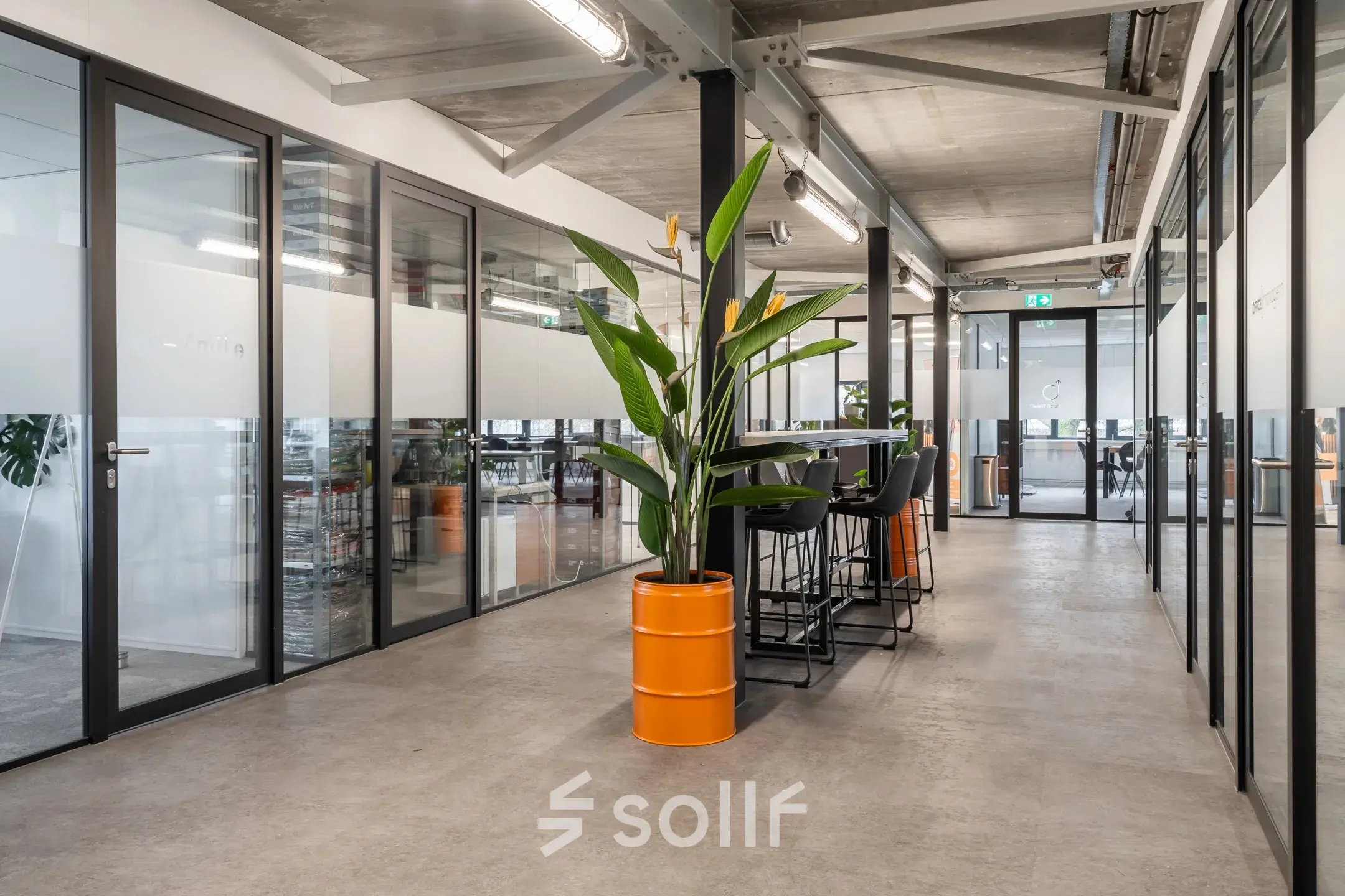 Moderne kantoorruimte op Waarderweg 52, Haarlem Waarderpolder, met glazen wanden, hoge plafonds en planten. Ideaal voor kantoorruimte huren of werken in een kantoorpand. Stijlvoller dan een doorsnee werkplek.