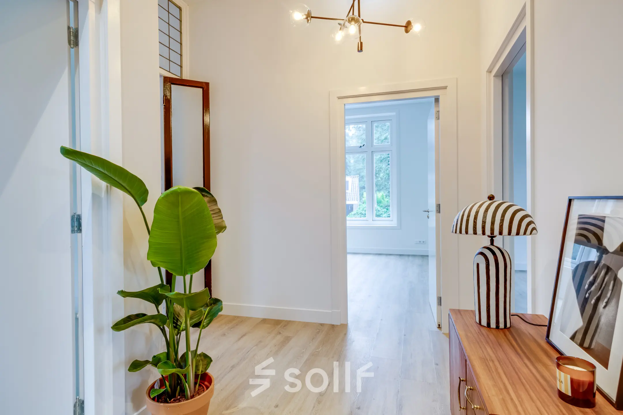 Heldere entree van een kantoorpand op Graaf Florislaan 40, Hilversum. Ruimtelijk met moderne inrichting, houten vloer en kamerplant. Perfect voor kantoorruimte huren.