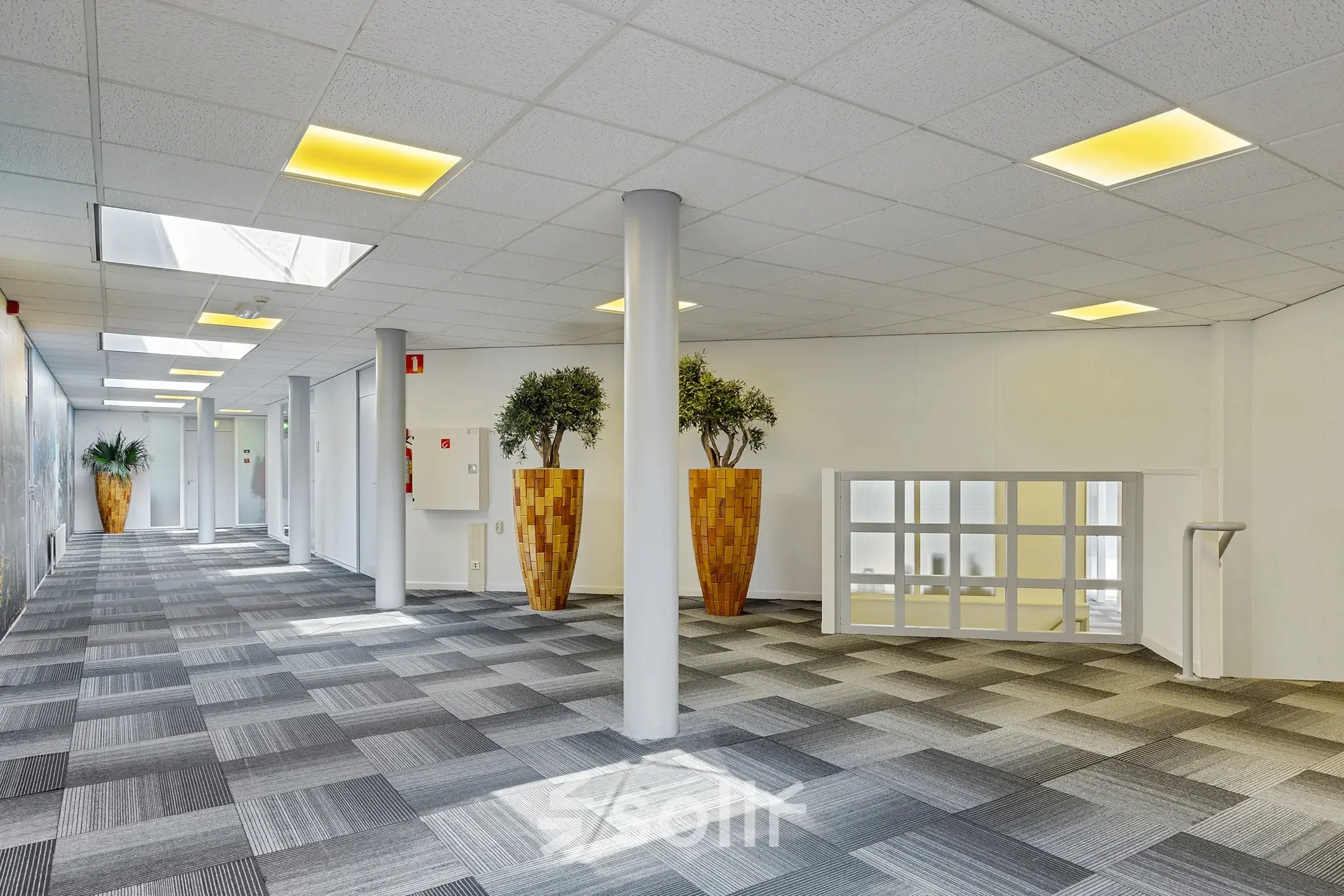 Ruime, lichte kantoorruimte op Ouddeelstraat 7a in Leeuwarden met moderne vloerbedekking. Grote planten en veel lichtinval geven het pand een frisse uitstraling. Ideaal voor wie een kantoorruimte wil huren.