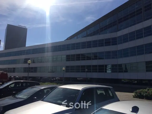 Rent office space Mendelweg 30, Leiden (3)